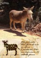 SP - Nolombo, a descoberta da poesia